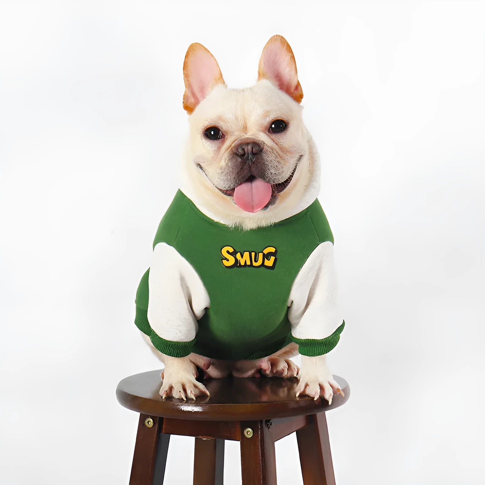 Green cotton dog coat for large breeds in sizes L, XL, 2XL, 3XL, and 4XL