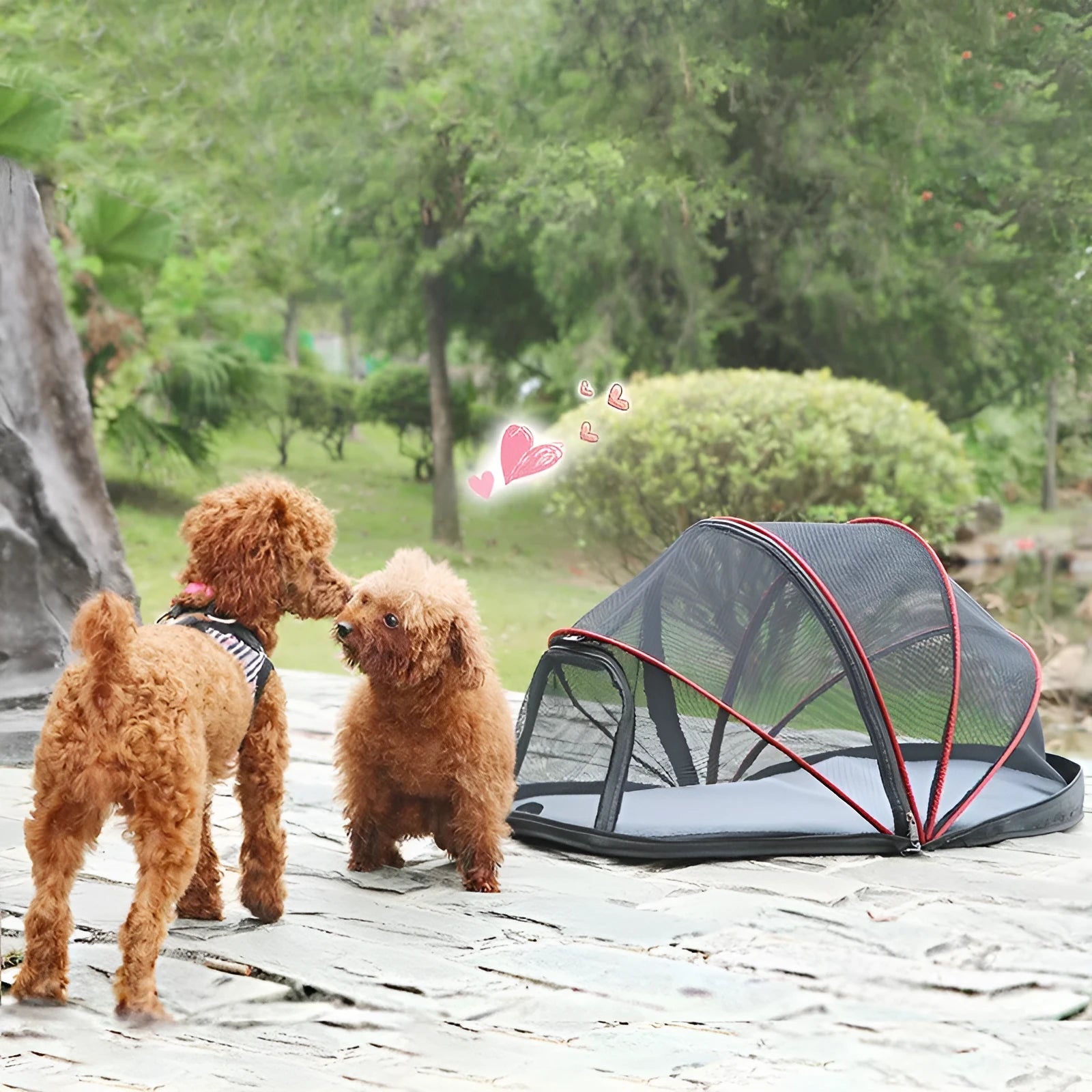 Portable folding cat tent with half-mesh panels in black or blue colour options