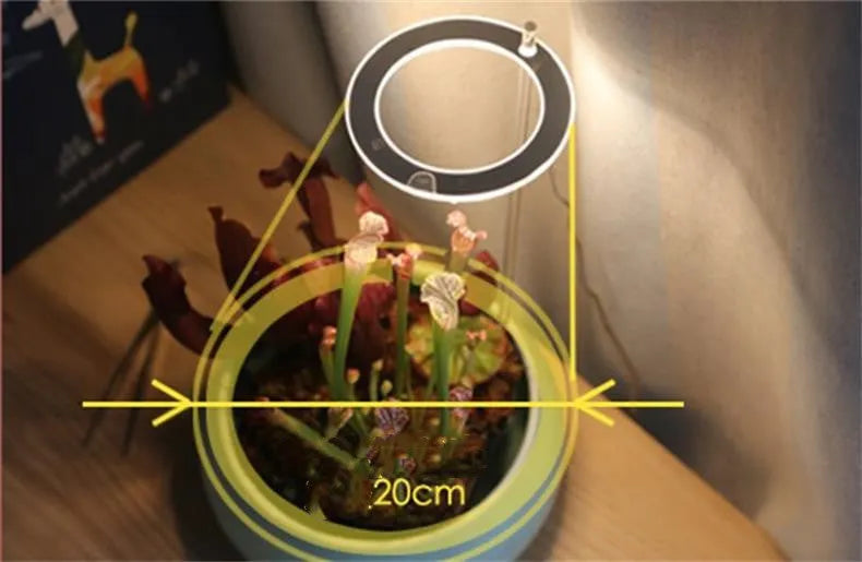 Transparent USB LED plant grow light with acrylic stick for indoor plants.