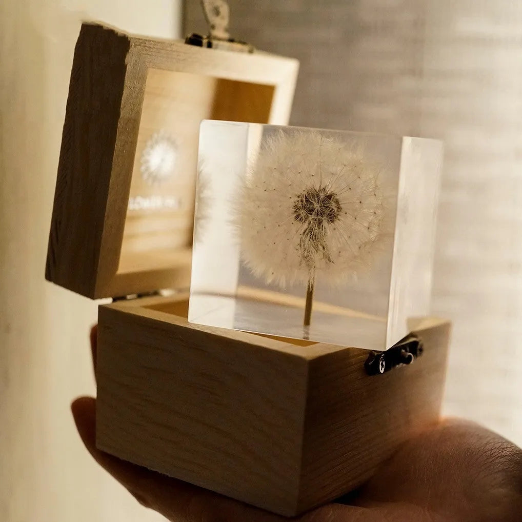 5cm clear resin cube with a real dandelion inside, on a USB LED base next to a wooden box.