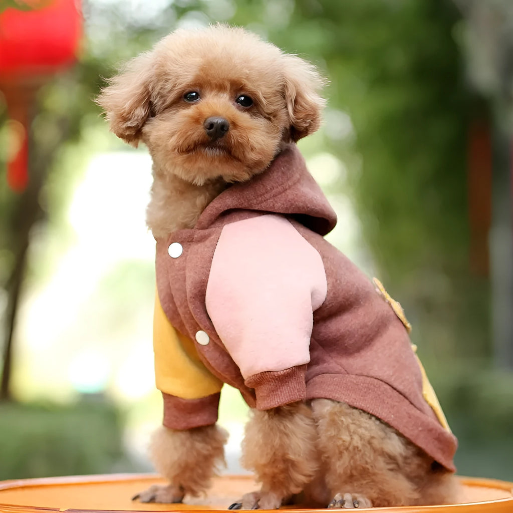 A brown cotton sweatshirt for a dog or cat, shown in size XL.