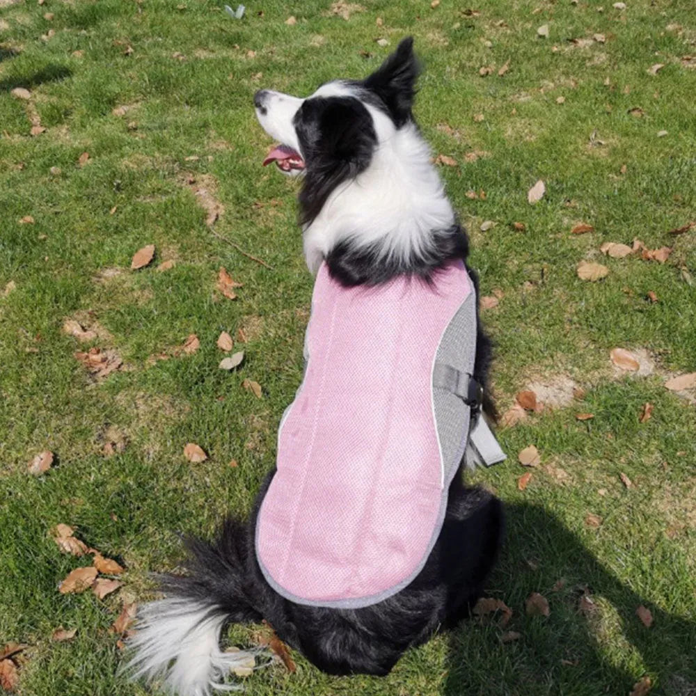 Summer dog cooling vest in Blue with cool-sensing fabric, breathable mesh and cotton filling