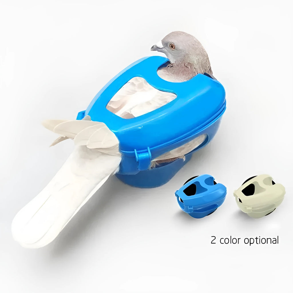 Light blue plastic racing pigeon holder with fixed frame rack on white background