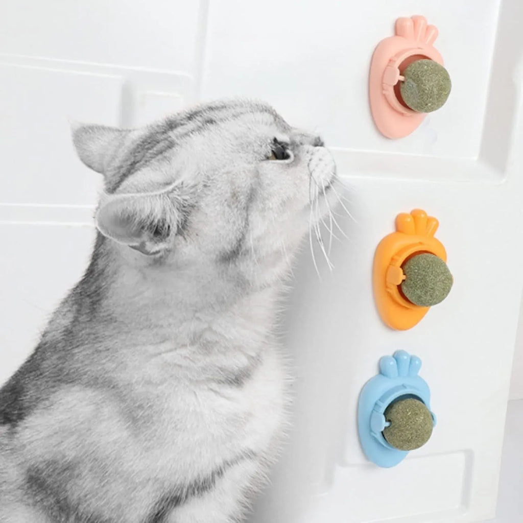 Blue carrot-shaped catnip ball with adhesive sticker for wall mounting as feline dental toy
