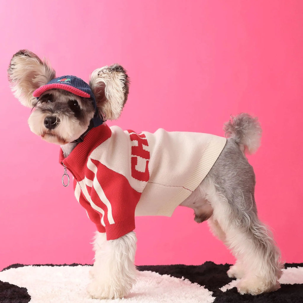 Red wool dog cardigan sweater shown on canine model with front opening and casual sports style