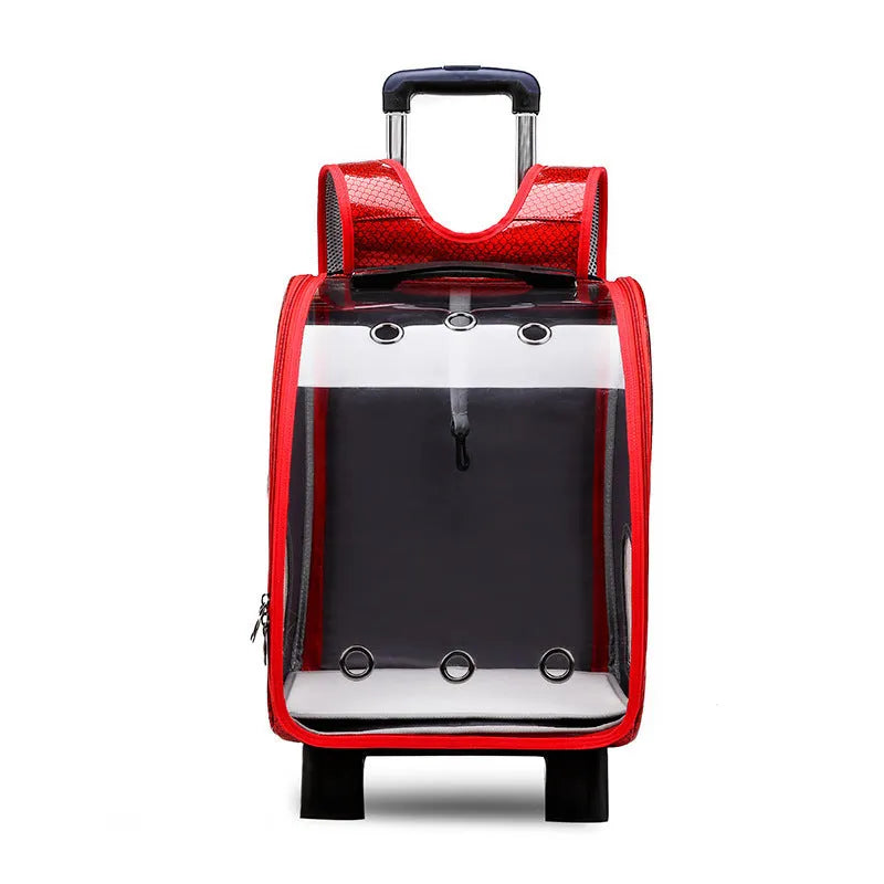 Blue transparent folding pet trolley bag with shoulder strap and wheels for small dog or cat.