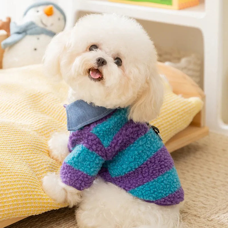 Dog winter thick warm cozy sweater with leash hole and collar for small medium breeds