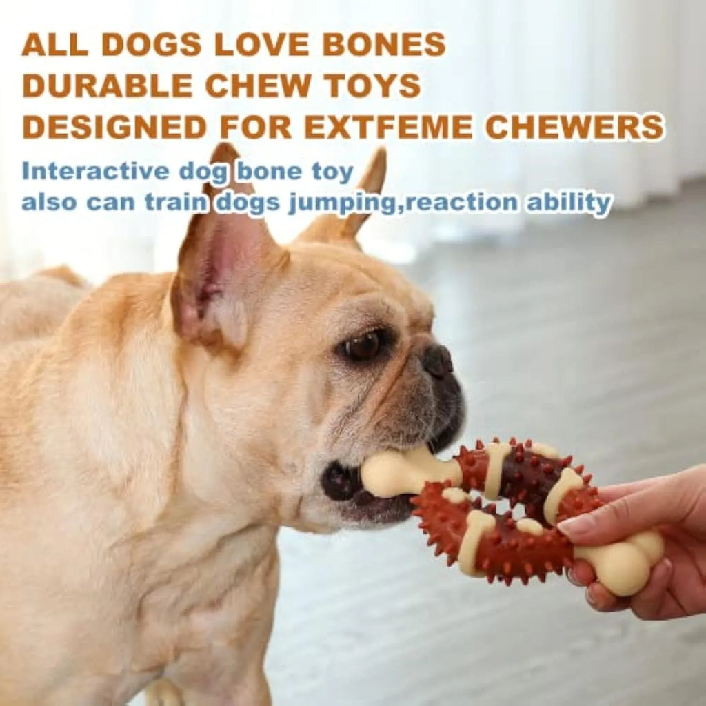 Bone-shaped natural rubber dog chew toy for teeth cleaning in two sizes