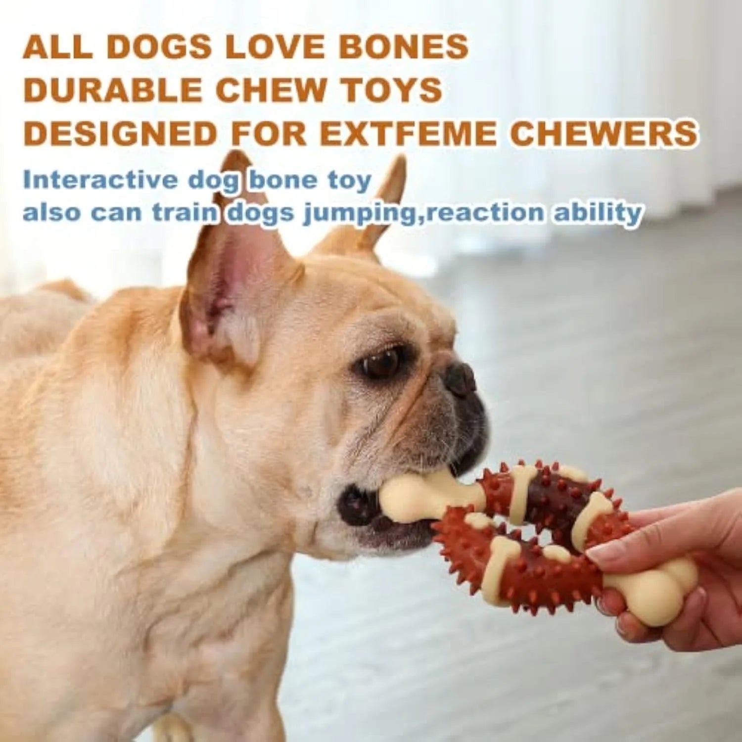 Bone-shaped natural rubber dog chew toy for teeth cleaning in two sizes