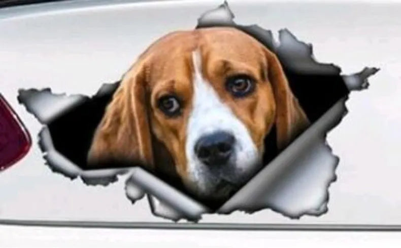 Car tail pet pattern sticker in picture colour, 20x15cm polyethylene decal for vehicle exterior