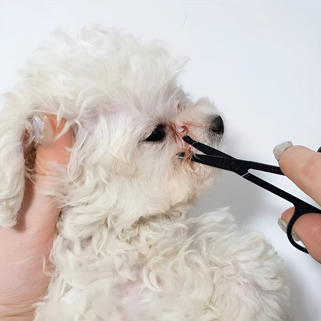 Black dual-ended pet grooming brush with soft brush and comb on a white background.