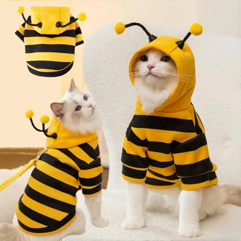 Yellow and black striped bee antenna hoodie for small dogs with flexible antennae and back belt hook