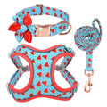 Small dog leash set with adjustable collar and towing rope in blue green red yellow colours