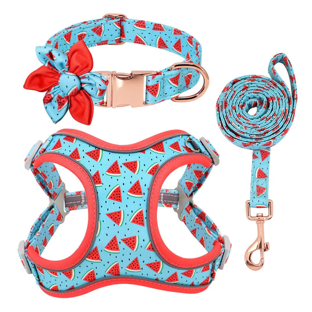 Small dog leash set with adjustable collar and towing rope in blue green red yellow colours