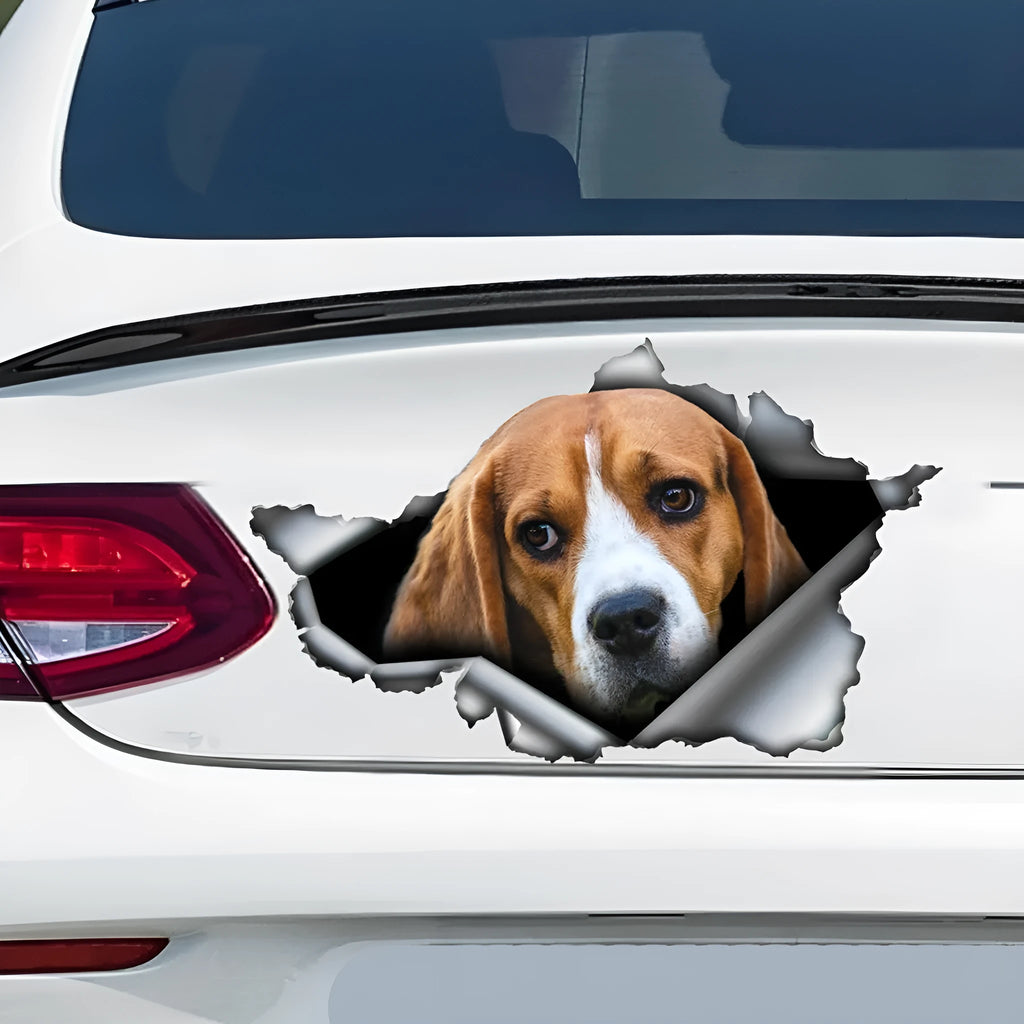 Car tail pet pattern sticker in picture colour, 20x15cm polyethylene decal for vehicle exterior