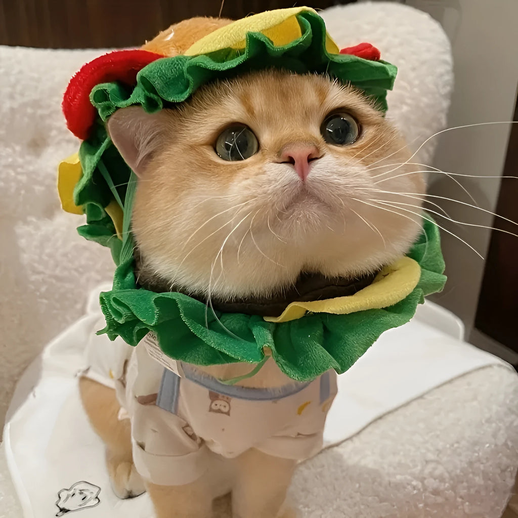 Cat wearing a foam burger headdress on a fabric cone collar for costume events.