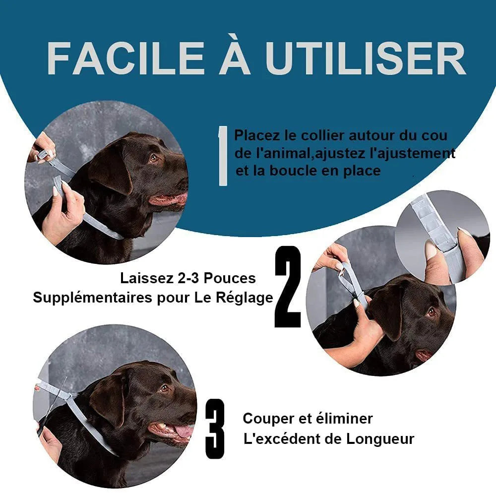 Rainbow-boxed plastic flea and anti-lice collar for cats or dogs, showing 38cm and 62cm size options.