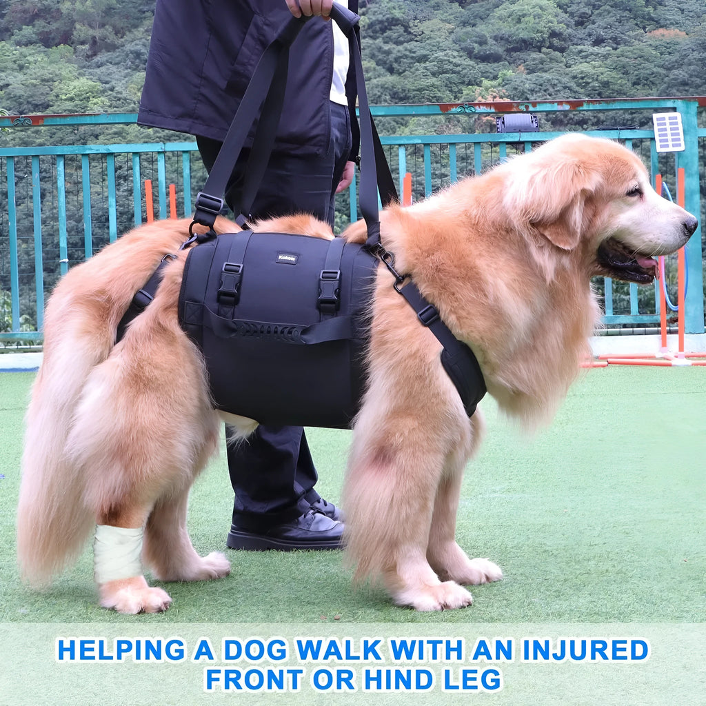 Black Oxford cloth dog harness with leg support design for rehabilitation and outdoor control