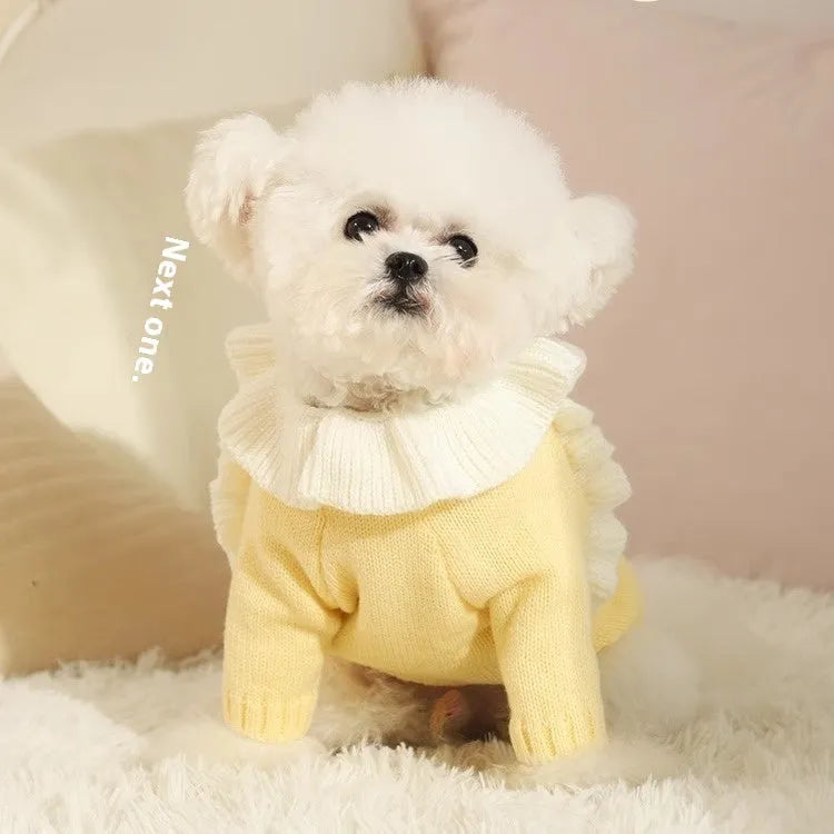Yellow acrylic dog sweater for a small puppy on an autumn day