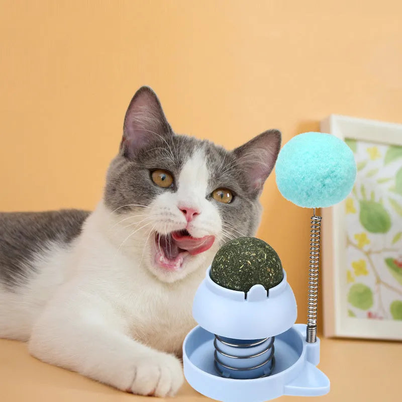 Four colourful mint ball cat toys with textured surfaces for teeth cleaning and self-hi play