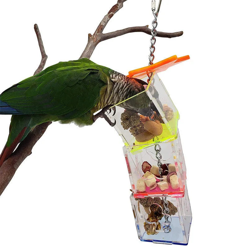 Clear acrylic parrot foraging toy measuring 32cm long, filled with bird treats.