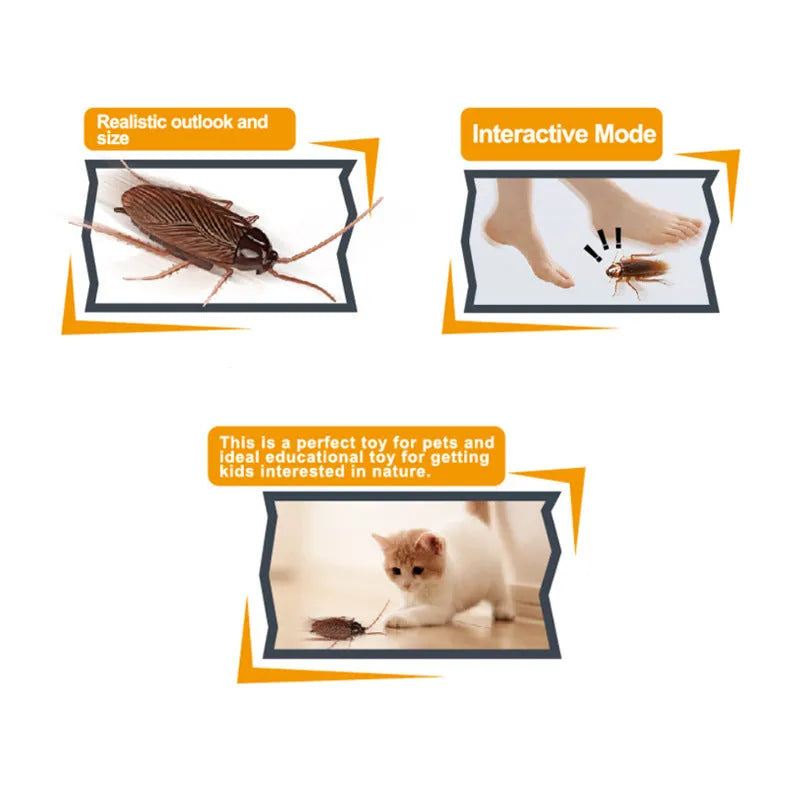 Electric vibration pet toy in cockroach, dragonfly, tarantula, or mouse design showing brush walking simulation