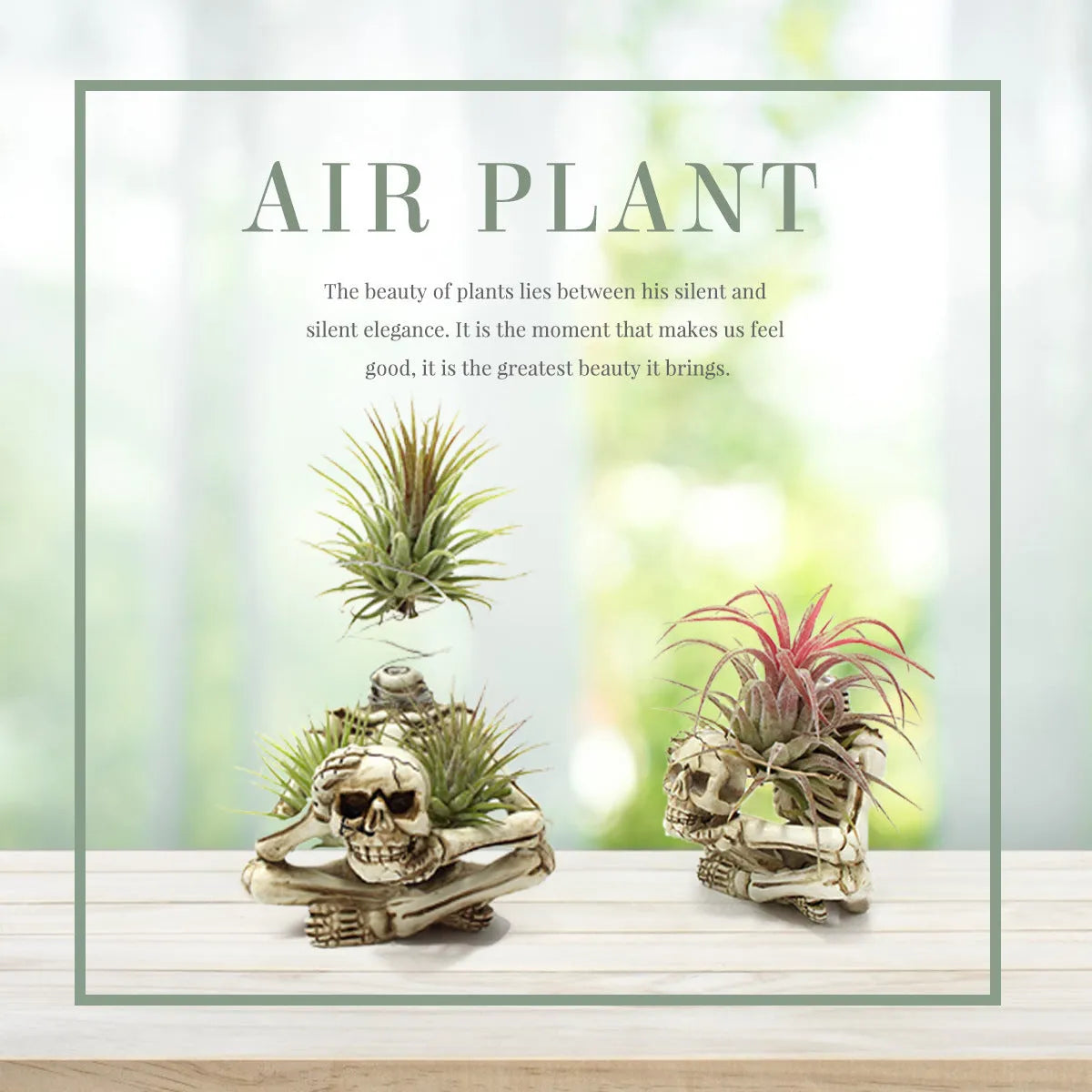 Gothic skull resin tillandsia bracket with iron stand for soilless air plant display
