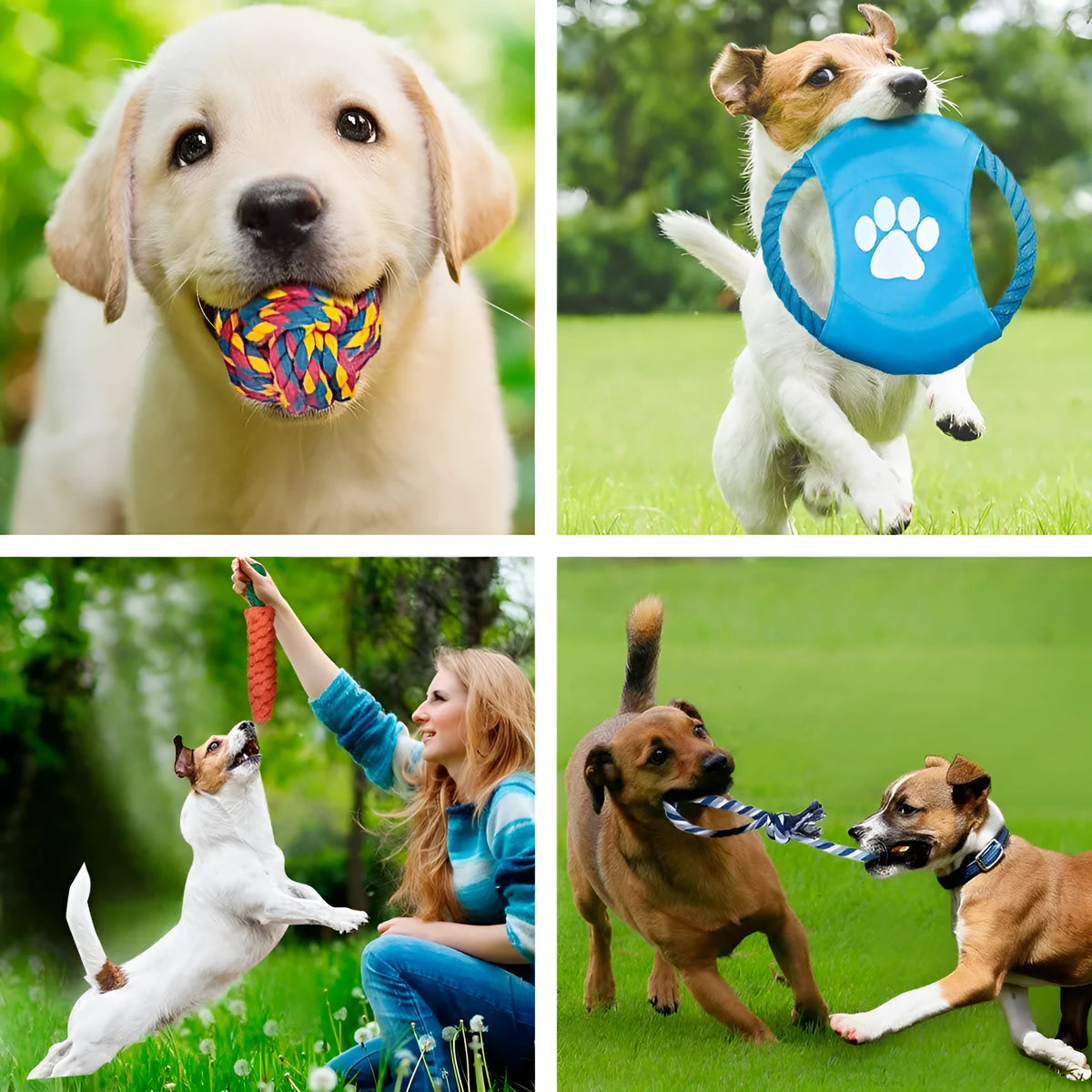 Teddy golden dog toy five-piece chew set with cotton rope pieces in small 32cm and large 47cm sizes, pink option