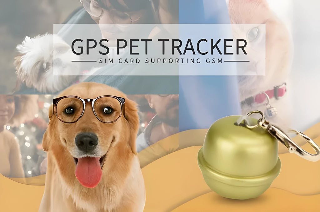 GPS dog collar pet tracker in black, brown, green, pink colours for small medium large dogs