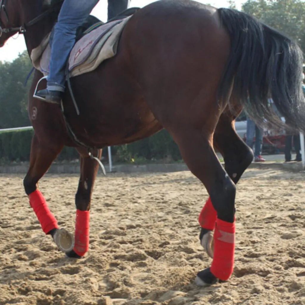 Set of 4 horse leg wraps in polar fleece, each 300cm x 11cm, with nylon sticky buckle, shown in Black, Blue, Grey, or Red
