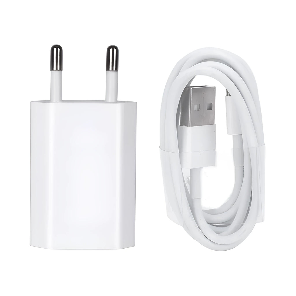 White USB wall charger and Lightning cable for iPhone and iPad models on a grey background.