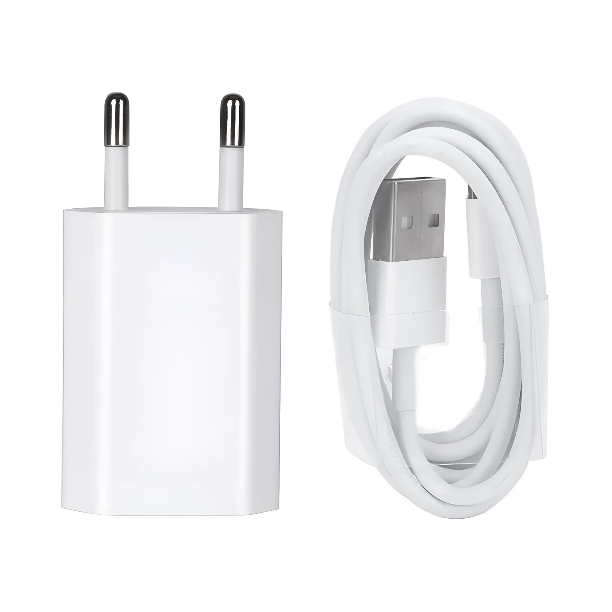 White USB wall charger and Lightning cable for iPhone and iPad models on a grey background.