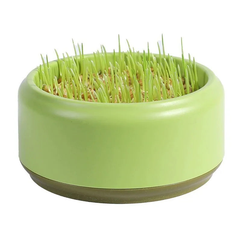 Hydroponic cat grass kit with biodegradable cup and five seed packets for indoor growing
