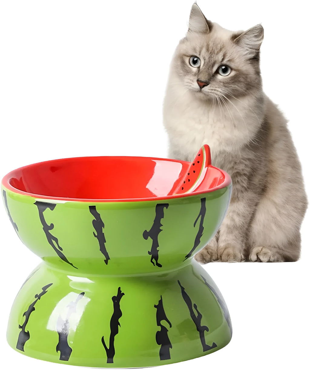Ceramic elevated cat bowl with tilted design in orange, pitaya, or watermelon pattern.
