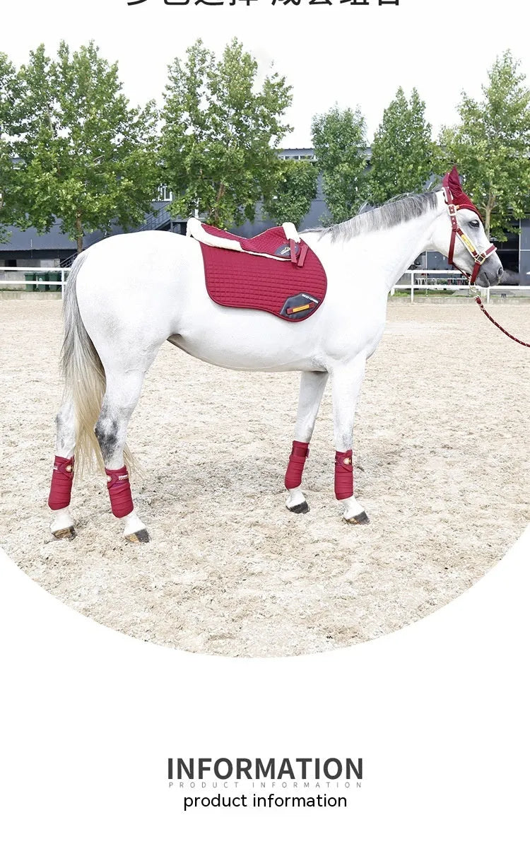 Riding saddle pad for waist protection in equestrian and cycling sports