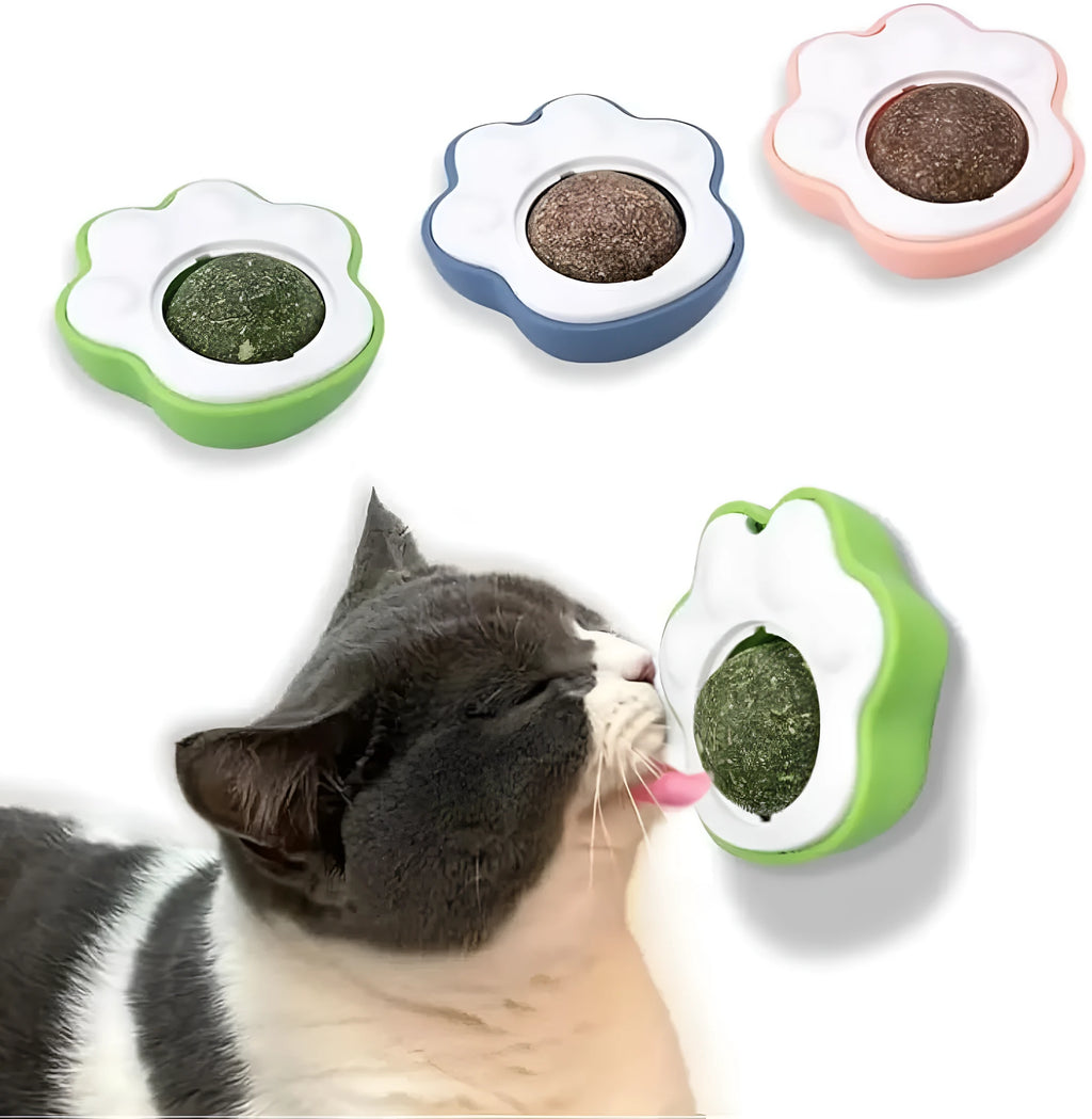 Blue, green and pink catnip ball wall treats with edible vine for feline dental chewing