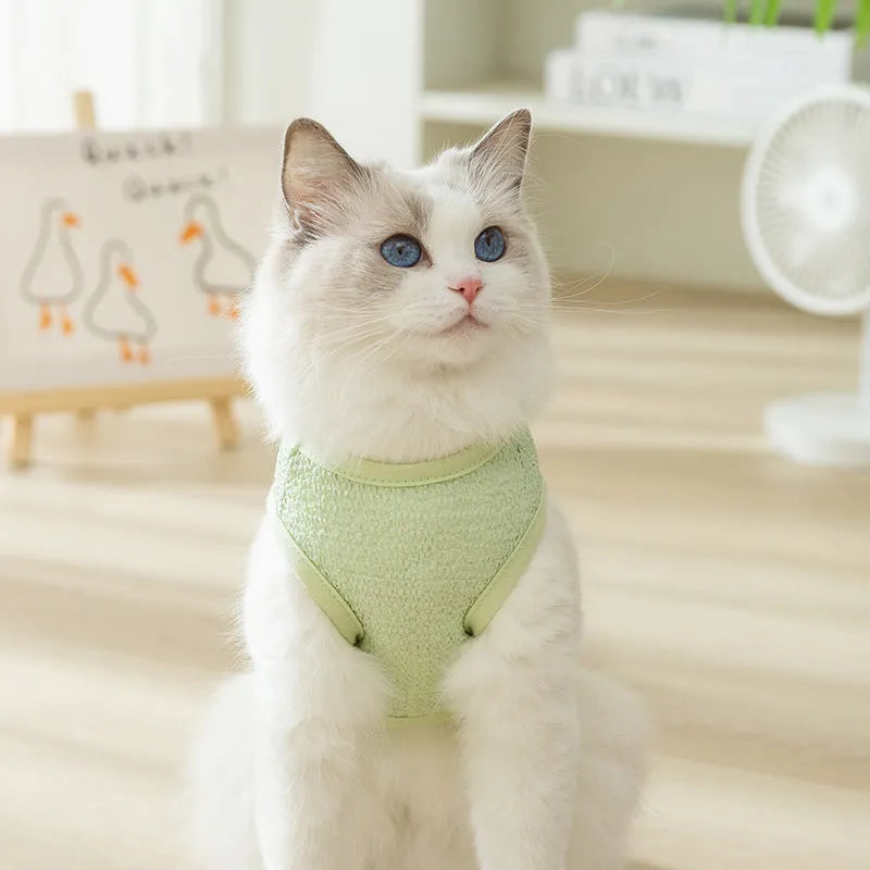 Colourful hollowed-out knitted cat clothing with a cartoon bear patch on the back