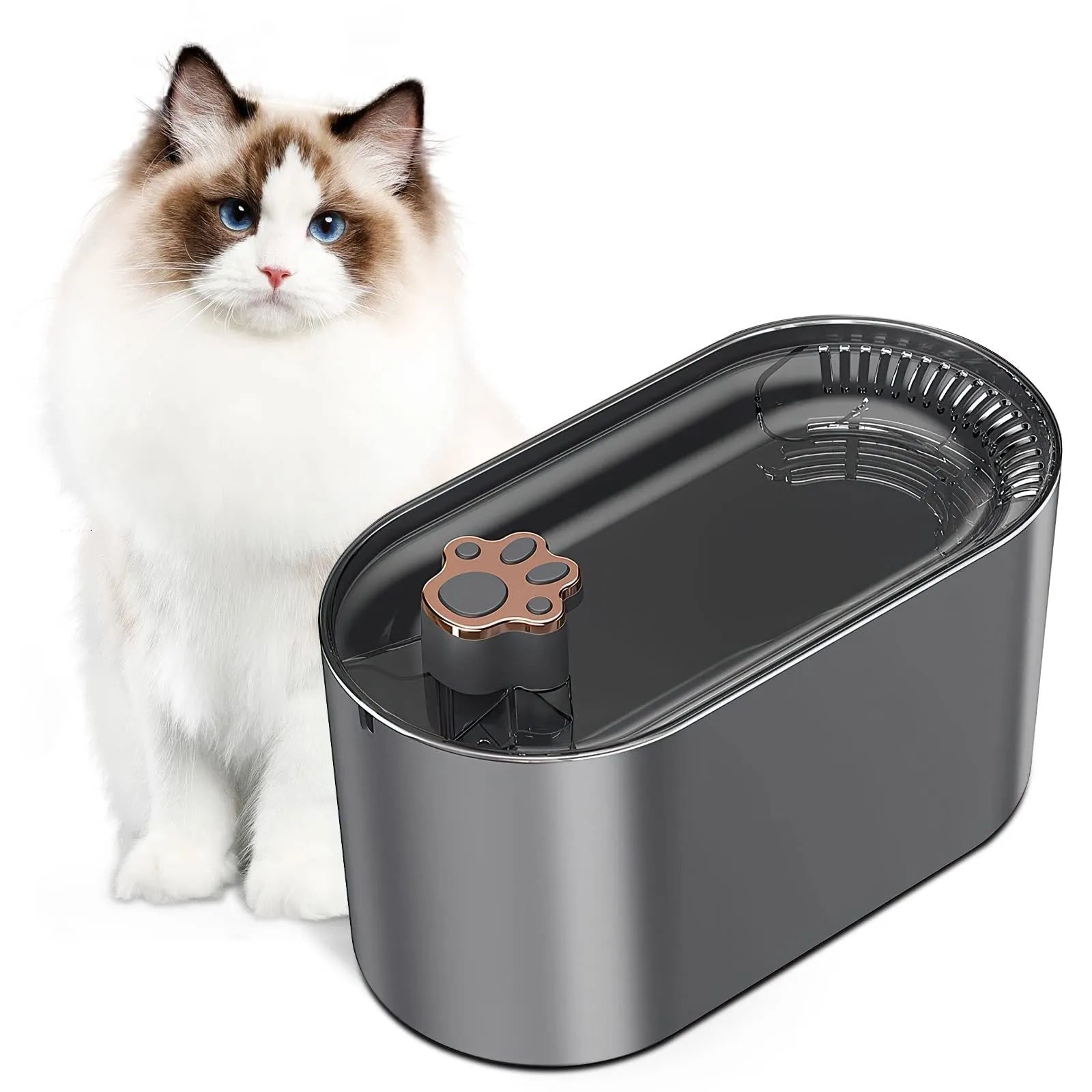 Berlin blue automatic pet water fountain with filter on a kitchen floor.
