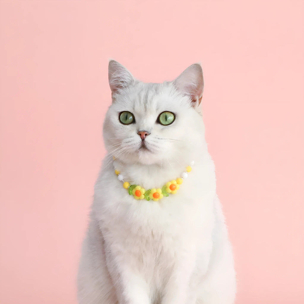 Colorful plastic bead cat necklace in peach rainbow or small flower pattern for pets