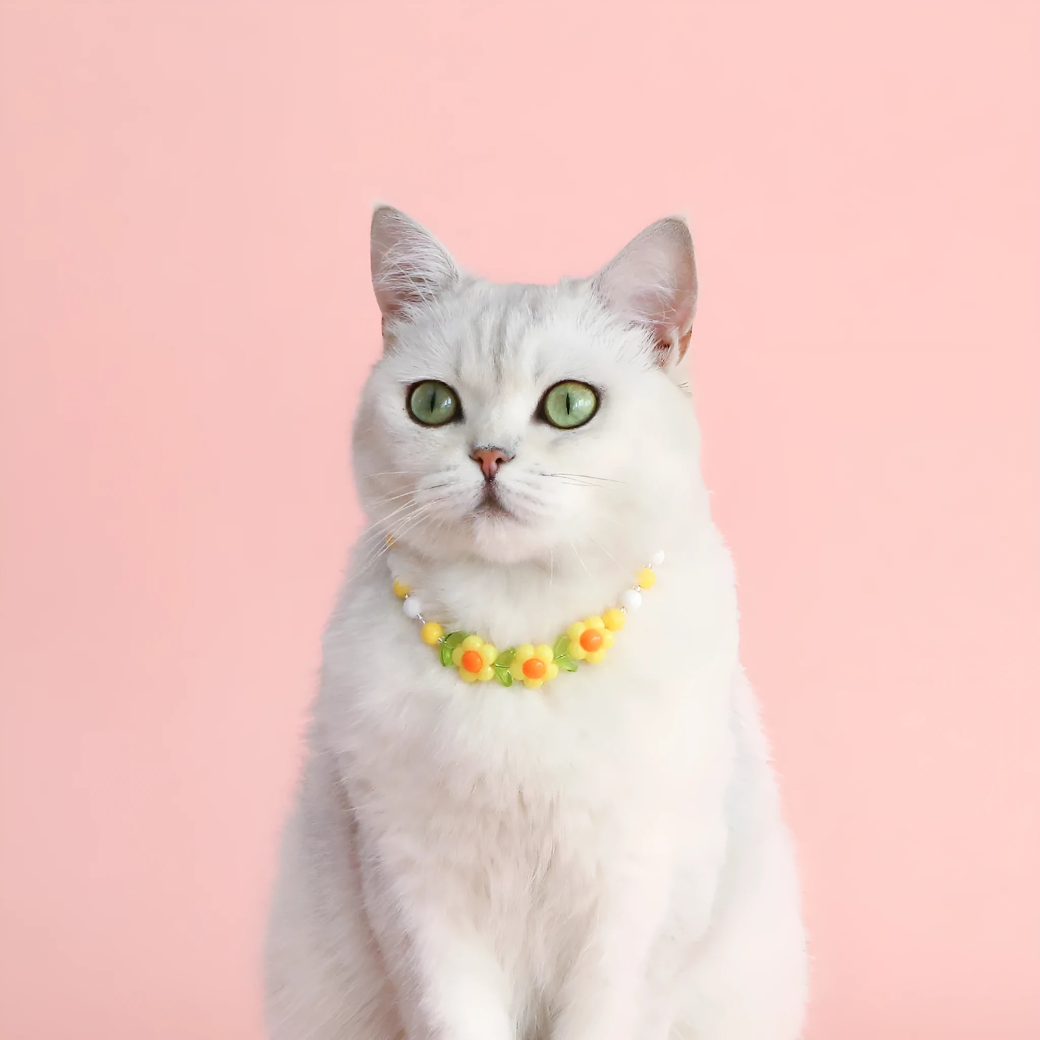 Colorful plastic bead cat necklace in peach rainbow or small flower pattern for pets