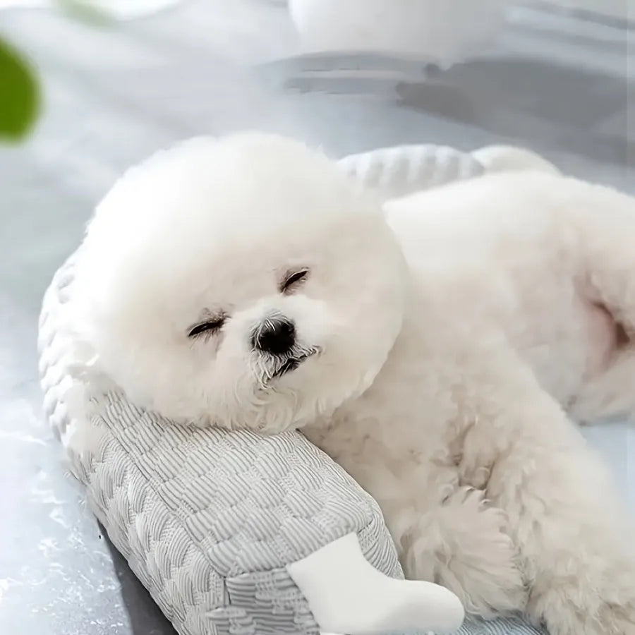 Blue big-eyed monster design pet bed for dogs and cats on a wooden floor.
