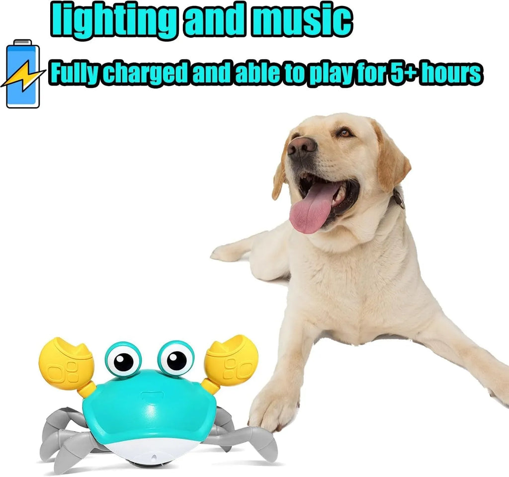 Blue crawling crab dog toy with obstacle avoidance sensors and LED lights for interactive pet play