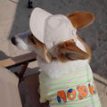 New Adjustable Sun-proof Exposed Ears Pet Hat in apricot cotton baseball cap style on a pet