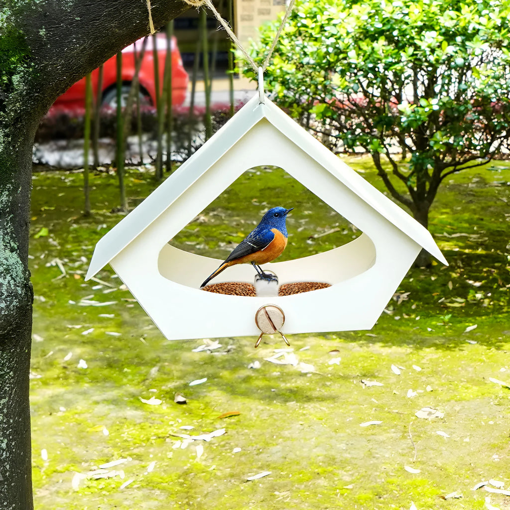 European-style iron bird nest decoration for outdoor courtyard with anti-rain bird food protection