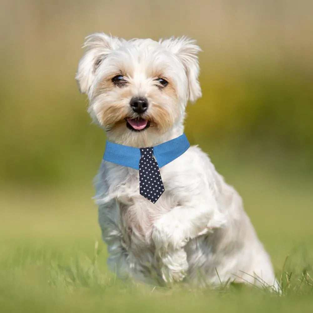 Denim dog collar with star pattern in bow and tie styles showing adjustable fastener tape