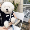 Korean style white puppy sweater with pearl collar on small dog