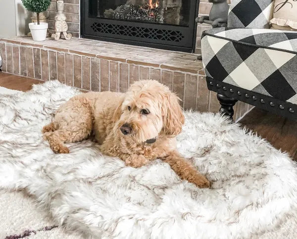 Beige rectangular pet dog plush mat with 4cm plush fabric on floor for indoor use