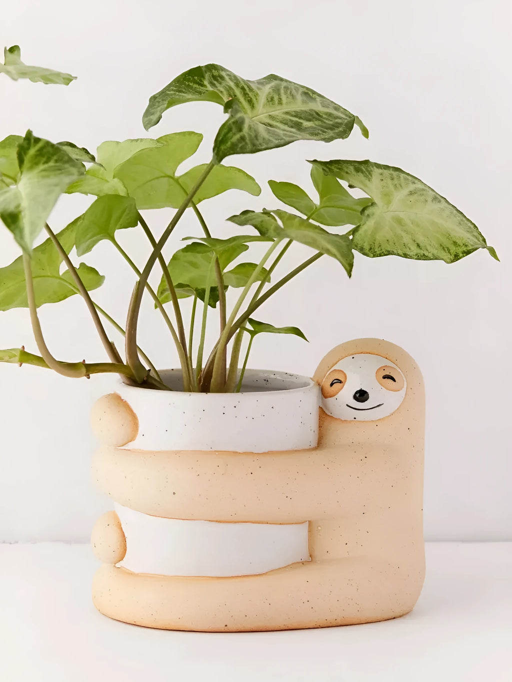 Green ceramic sloth plant pot medium size 9cm diameter on white background