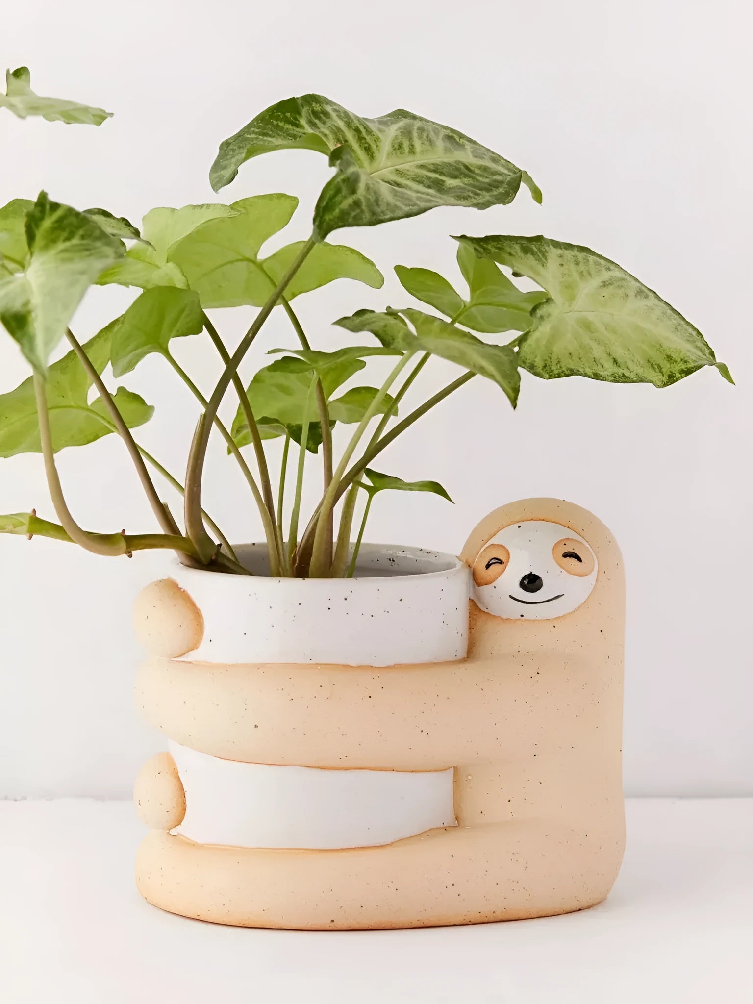 Green ceramic sloth plant pot medium size 9cm diameter on white background