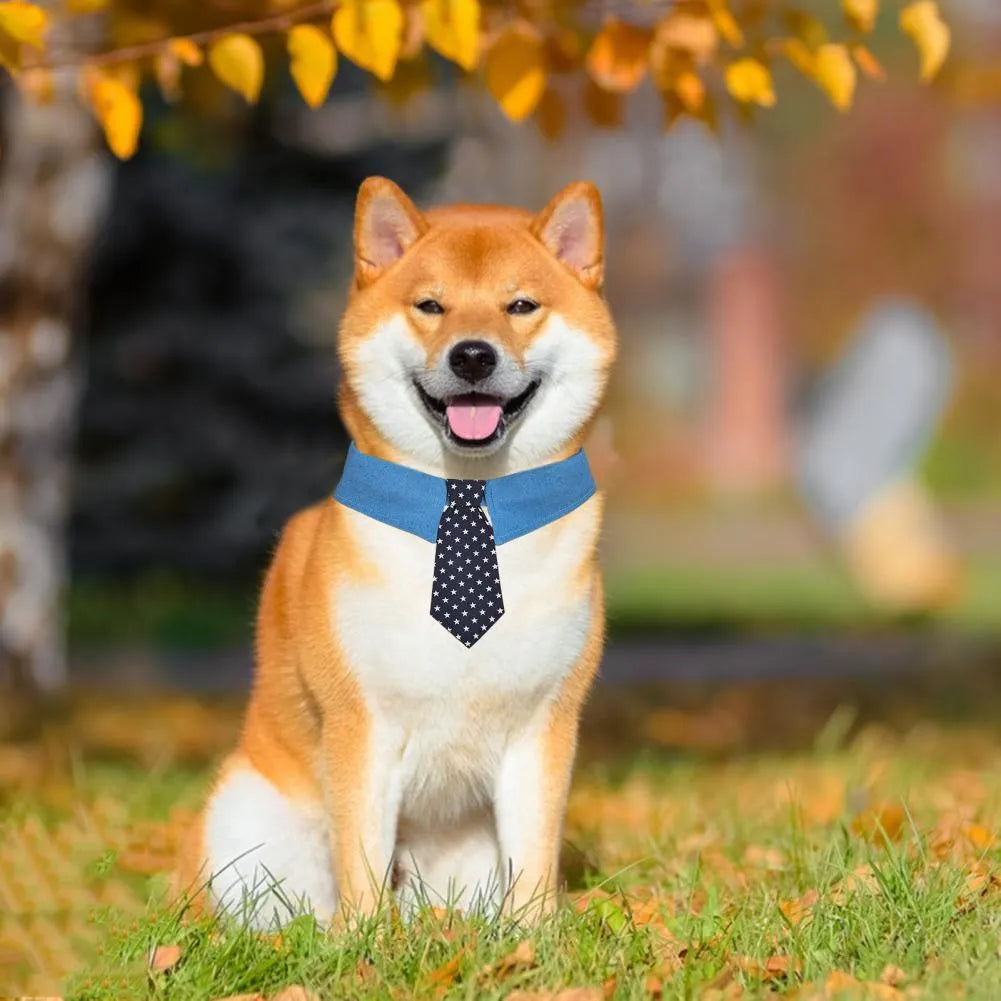 Denim dog collar with star pattern in bow and tie styles showing adjustable fastener tape